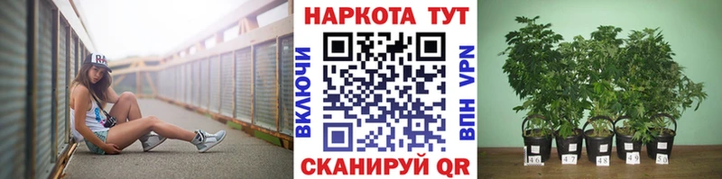 Что такое Нижневартовск МЕТАДОН  Меф  Конопля 