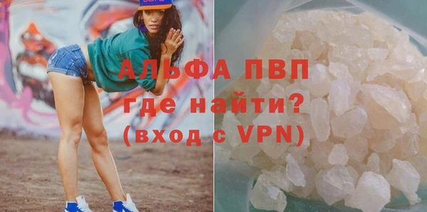 прущие грибы Абинск