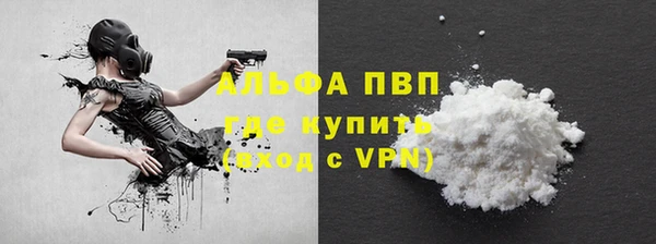 прущие грибы Абинск