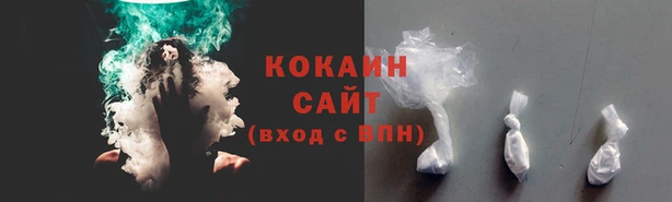 прущая мука Инсар