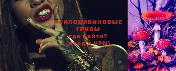 прущие грибы Абинск