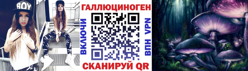 закладка  Нижневартовск  Псилоцибиновые грибы мицелий 